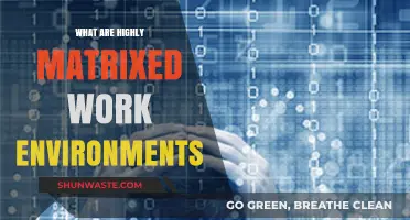Understanding Highly Matrixed Work Environments: Structure, Challenges, and Benefits