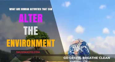 Human Actions Reshaping Our Planet: Environmental Impacts Explored