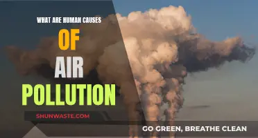 Human Activities and Air Pollution: Harmful Impacts