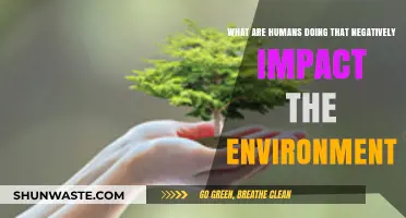Human Actions Harming Our Planet: Urgent Environmental Concerns to Address