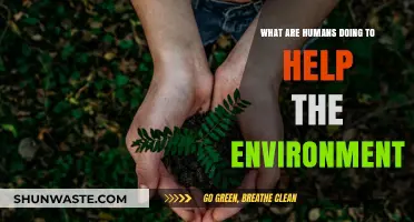 Sustainable Actions: How Humans Are Protecting and Restoring Our Planet