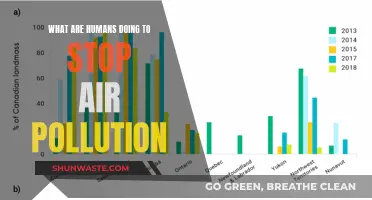 How Humans Are Fighting Back Against Air Pollution