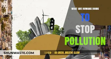 Humanity's Efforts Against Pollution