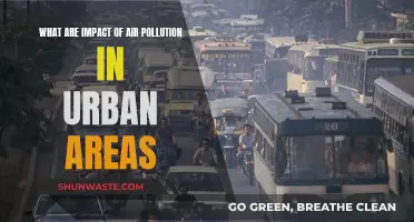 Air Pollution's Urban Impact: What's the Damage?