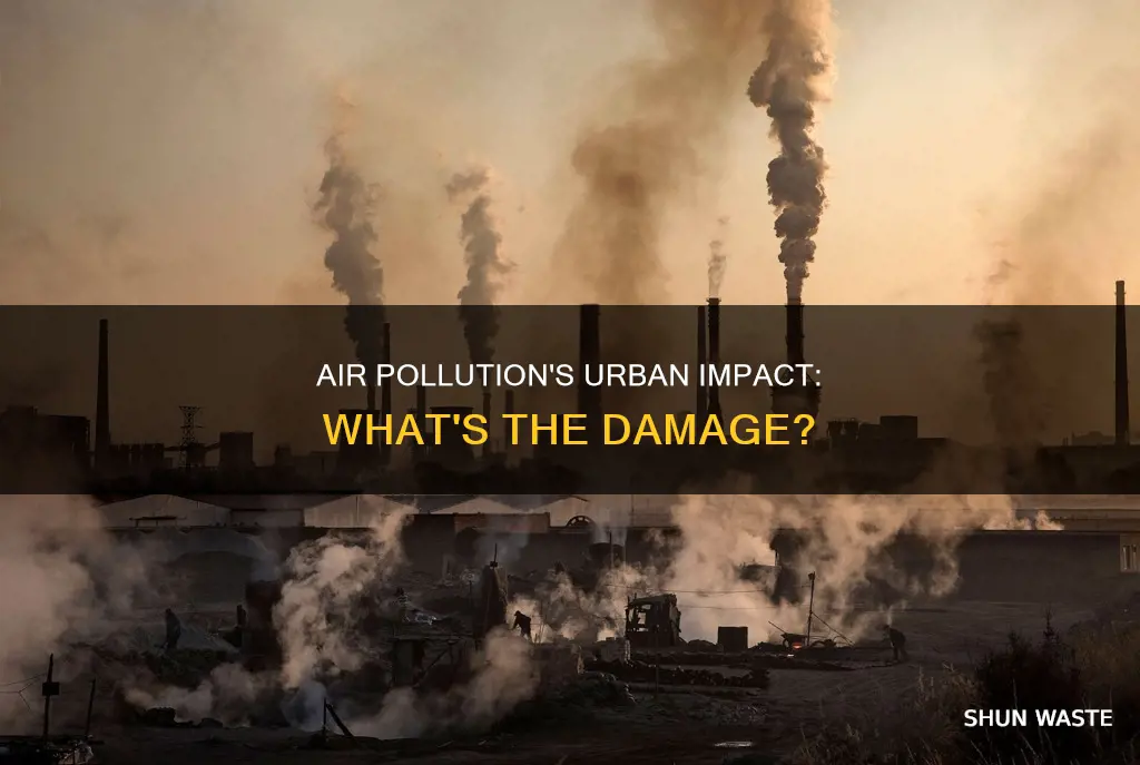 what are impact of air pollution in urban areas