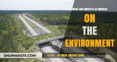 Bridges' Environmental Impact: Balancing Connectivity and Ecological Consequences