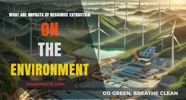 Resource Extraction's Environmental Toll: Impacts, Challenges, and Sustainable Solutions