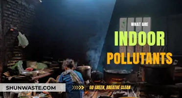 Air Quality Alert: Indoor Pollutants Revealed