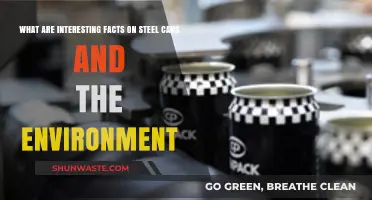 Steel Cans: Eco-Friendly Facts and Environmental Benefits Unveiled