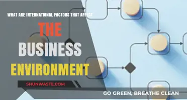 Global Influences Shaping Business: Key International Factors to Consider