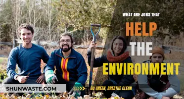 Green Careers: Jobs That Protect and Restore Our Environment