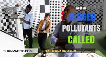 Understanding Criteria Pollutants and Their Impact