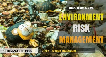 Effective Environmental Risk Management: Strategies for Sustainable Success