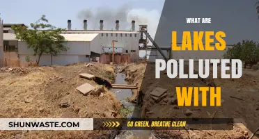 Lakes' Pollution: Understanding the Contaminants