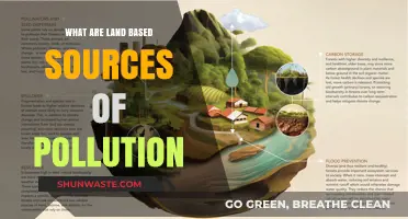 Land-Based Pollution: What's the Source?