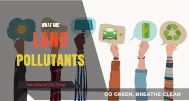 Land Pollutants: Understanding the Threat to Our Soil