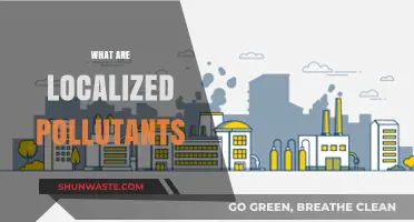 Local Pollutants: Understanding Their Impact on Our Health and Environment