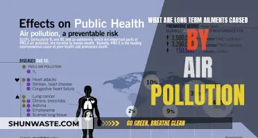 Breathing Trouble: Long-Term Health Impacts of Air Pollution