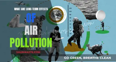Air Pollution's Lasting Legacy: Long-Term Health Effects