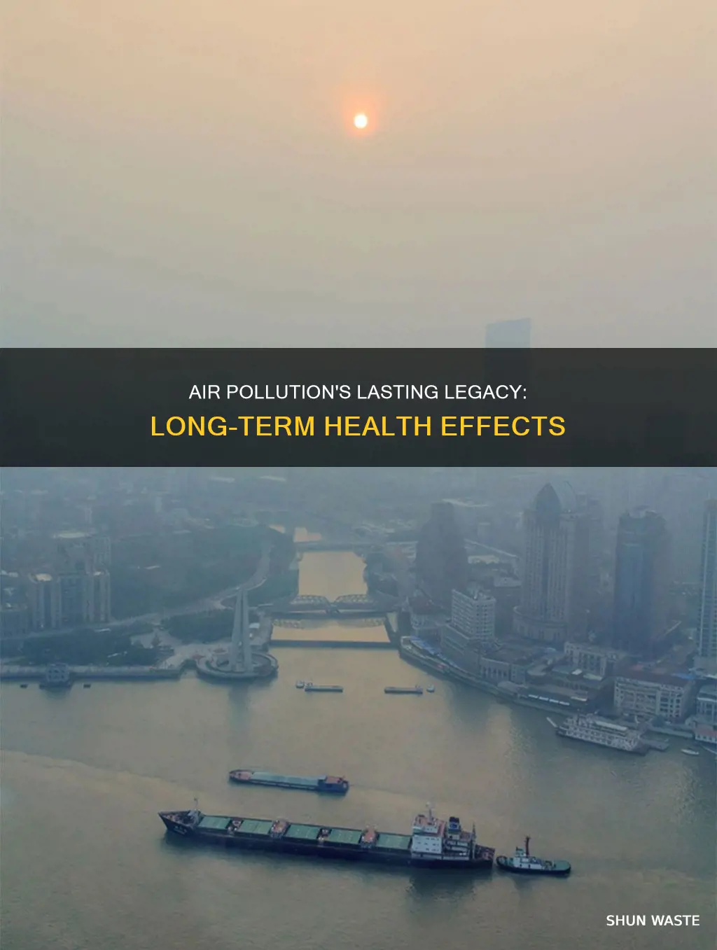 what are long term effects of air pollution