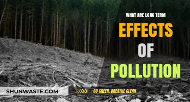 Pollution's Long-term Impact: Understanding the Devastating Effects