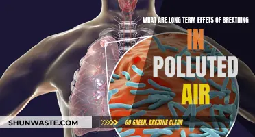 Breathing Polluted Air: The Long-Term Health Impact
