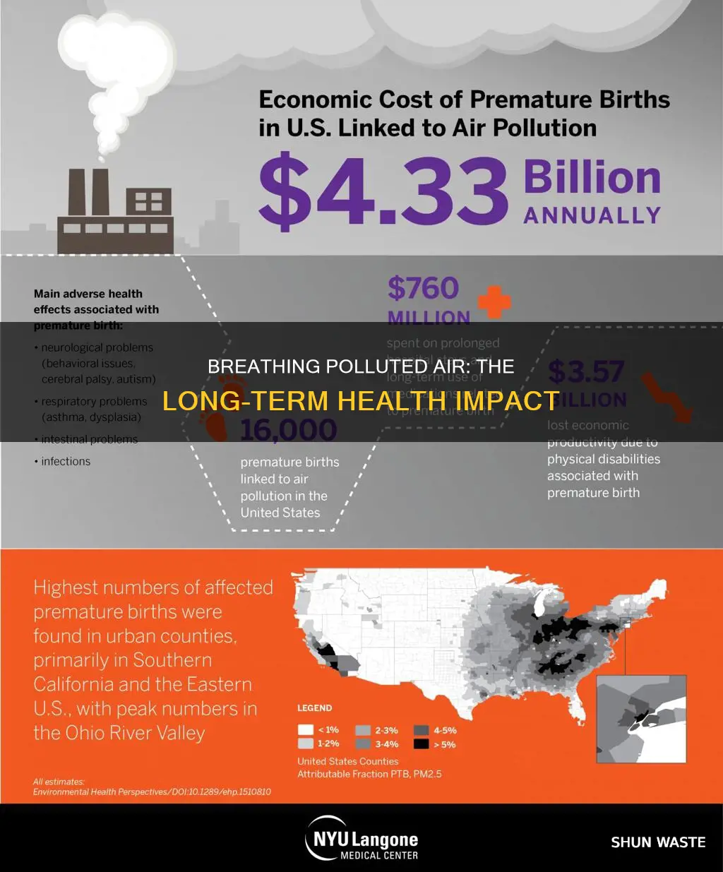 what are long term effets of breathing in polluted air