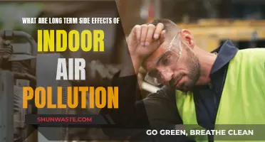 Air Pollution's Long-Term Health Impact: What's the Risk?
