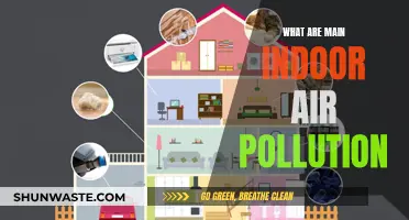 Indoor Air Quality: Common Pollutants and Their Sources
