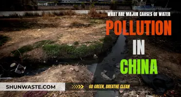 Unveiling China's Water Crisis: Major Causes of Pollution