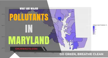Maryland's Major Pollutants: A Comprehensive Overview