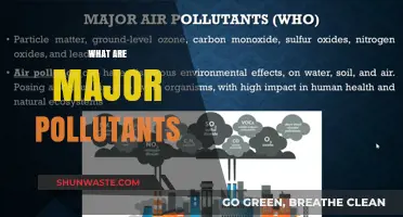 Air, Water, Soil: Major Pollutants and Their Sources