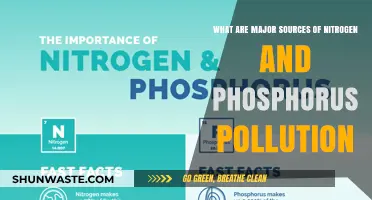 Nitrogen and Phosphorus Pollution: Key Sources and Impacts