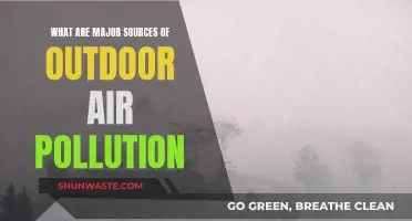 Outdoor Air Pollution: Major Culprits Revealed
