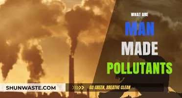 Understanding Man-Made Pollutants and Their Impact