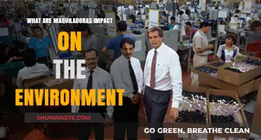 Maquiladoras' Environmental Impact: Pollution, Sustainability, and Border Challenges