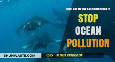 Marine Biologists: Ocean Pollution's Worst Enemy