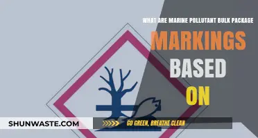 Understanding Marine Pollutant Markings: The IMDG Code