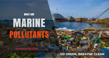 The Ocean's Pollutants: Understanding Marine Contamination