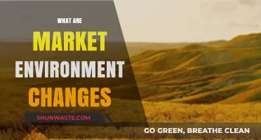 Navigating Market Environment Changes: Trends, Impacts, and Strategic Adaptations