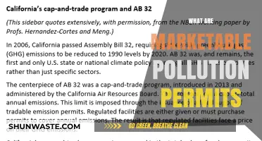 Understanding Marketable Pollution Permits: Trading Emissions
