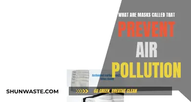 Air-Filtering Face Masks: Protection from Pollution