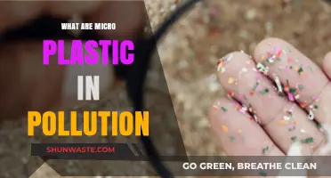 Microplastics: The Pollution Within