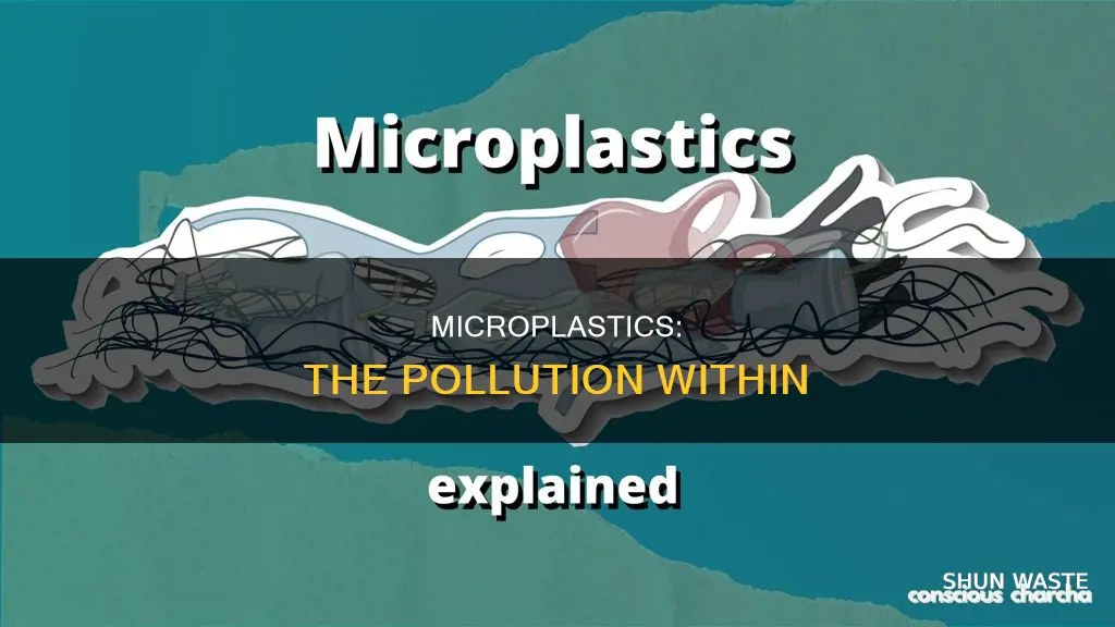 what are micro plastic in pollution