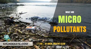 Micro Pollutants: The Silent Water Contaminants