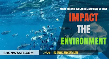 Microplastics Unveiled: Environmental Impact and Hidden Dangers Explained