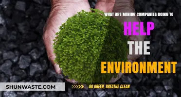 Mining's Green Shift: Environmental Initiatives by Industry Leaders