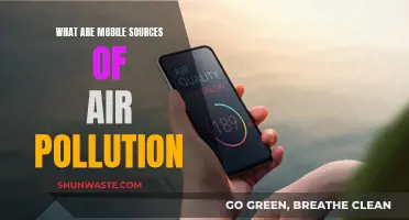 Mobile Sources of Air Pollution: Understanding Their Impact