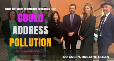 Community Action: Pollution Solutions