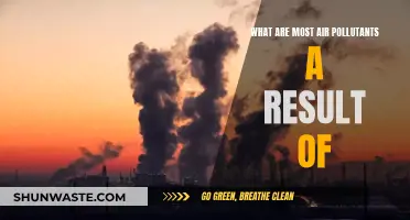 Human Activities and Their Air Pollution Impact